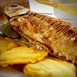 Bocachico frito